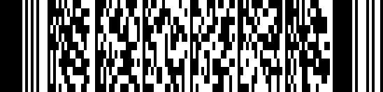 פריט PDF417 barcode example